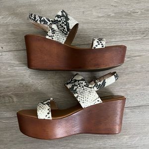 🐍Snake Steve Madden Flatform Sandals🐍